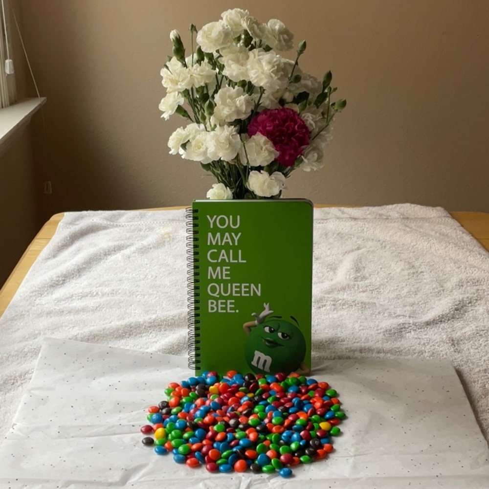 📗💙 M&M’S NOTEBOOK 📗💙 - Picture 11 of 16